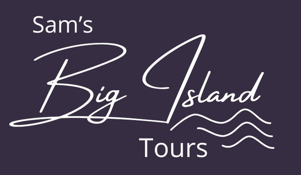 Sam's Big Island Tours